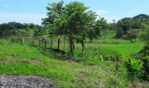 Gobernador de Chiriquí avala hacer casa de citas
