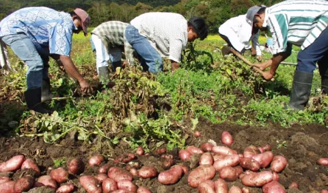 Cuestionan manejo del Feci en el sector agropecuario 