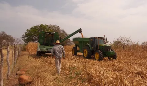 Panamá cubre su demanda de arroz con importaciones