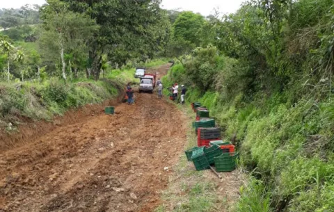 Caminos de producción en Cañas Gordas están abandonados por el MOP