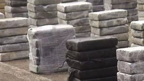Ordenan detención preventiva a ocho colombianos que traficaban droga 