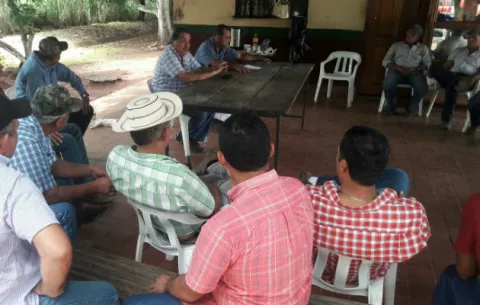 Maiceros esperan que se comercialice producción