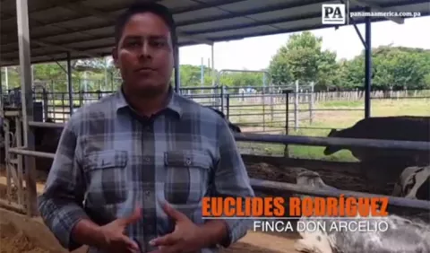 [VIDEO] Reportaje ganador del premio Palma de Oro
