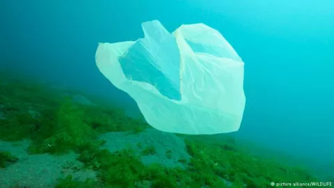 Ejecutivo le dice 'no' a una propuesta para conservar el medio ambiente