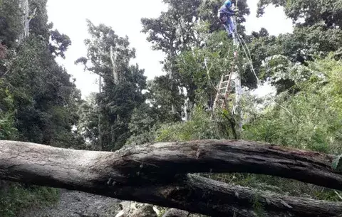 Parques Volcán Barú y Amistad permanecen cerrados por seguridad