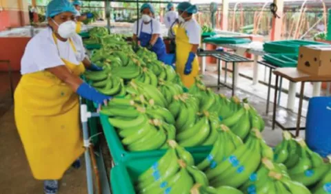 FAO recomienda manual de empleo de  Ecuador 