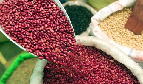 Colombia contará con el banco de frijol más grande