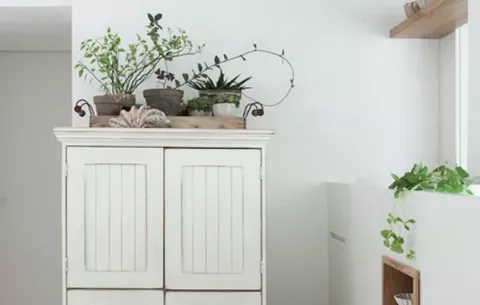 Armoniza  tu  hogar a bajo costo 