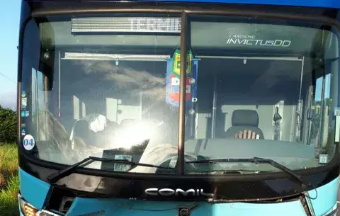 Bus de ruta David-Panamá impacta y mata a dos vacas en Chiriquí