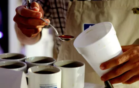 Varias tazas de café pueden ser beneficiosas para la salud