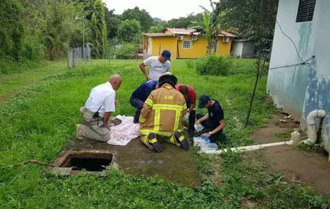 Muere niño al caer en fosa séptica, en Pueblo Nuevo de Penonomé
