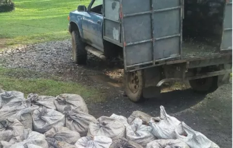 Detectan supuesto contrabando de café en la frontera con Costa Rica