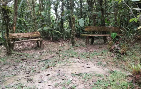 ATP inicia proceso para rehabilitar sendero El Convento Cerro Gaital