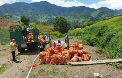 Intereses preferenciales para el agro no serían un avance