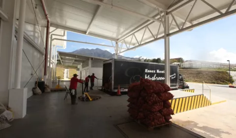 Reactivación de la Cadena de Frío es urgente, según Francolini