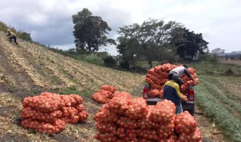 La infructuosa batalla de  productores contra el rol de instituciones