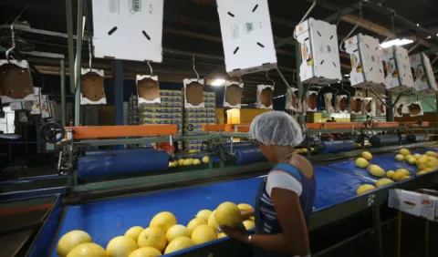 Panamá aumenta un 56%  las  exportaciones a China 