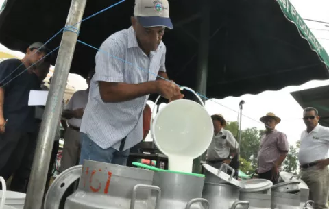 Ganadería en cuidados intensivos en Herrera, aseguran productores