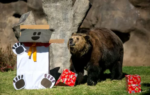 Animales recibieron su “zoorpresa” de Navidad 