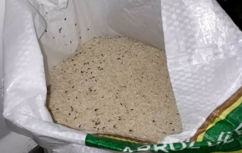 Denuncian venta de arroz Compita con gorgojos en Chiriquí
