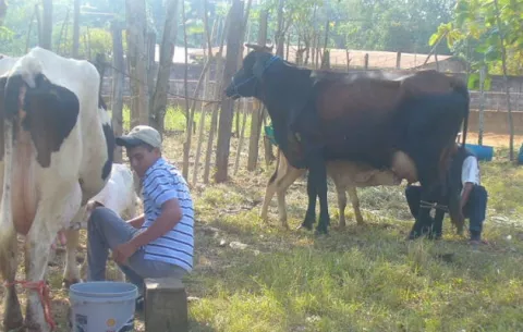 Productores preocupados por regulación sobre uso del agua