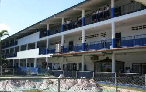Presentan denuncia penal contra responsables de quemar gatos