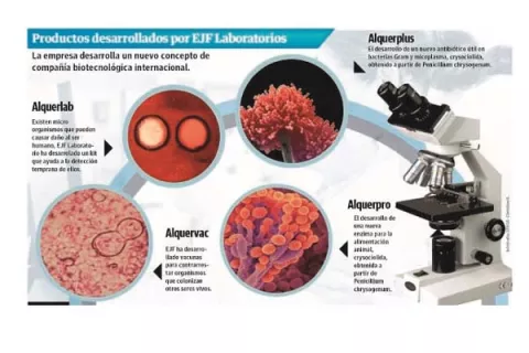 El Mida pone obstáculos a inversionistas agropecuarios