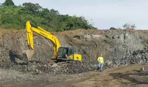 Arbolitos  serán tratados para evitar incendios
