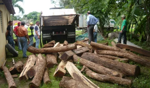 Colocan chips en tucas  para evitar tráfico ilegal en Panamá Este y Darién