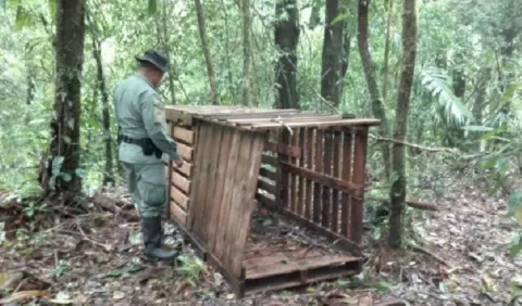 Cazadores de animales en extinción terminan pagando días de multa