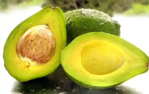 La piel de la semilla de aguacate tiene propiedades medicinales, según científicos
