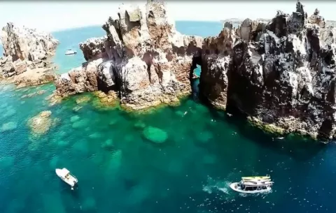 [VIDEO] La joya del del mejor 'acuario del mundo' está en el Archipiélago mexicano de Espíritu Santo