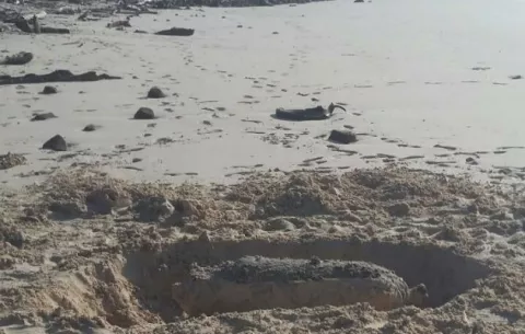 Peligro: encuentran bomba en isla Iguana en Pedasí