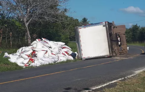 Reguero de sacos de alimentos para caballos al volcarse camión en Antón