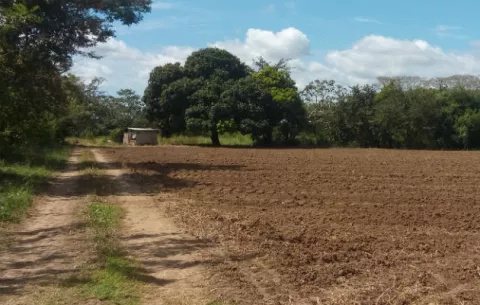 Muerte de bebé de seis meses en Natá es investigada por Ministerio Público