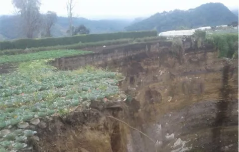 Deslizamiento de tierra en Cerro Punta y bajas temperaturas por frente frío