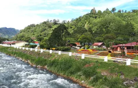 Feria de Boquete abre sus puertas con gran variedad floral multicolores