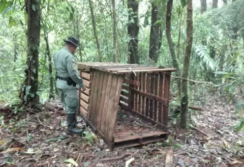 Delito: ubican trampa para cazar animales en el PILA