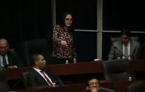 "Varela prepara un fraude electoral con sus esbirros", Zulay Rodríguez