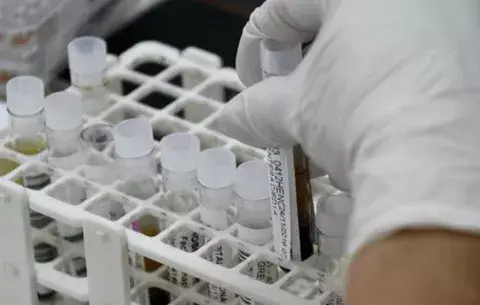 Laboratorio comenzará a producir medicamentos contra el VIH
