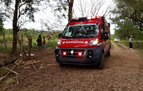 Menor cae de un árbol en Las Minas