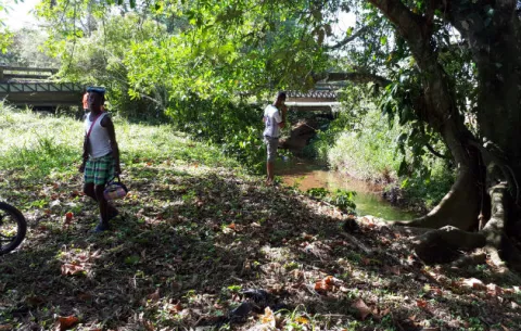 Misteriosos gritos de mujer que desaparece en El Pilón de Colón
