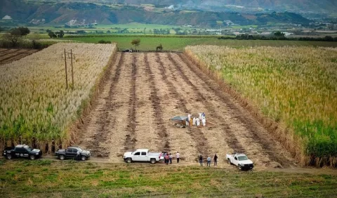 Hallan fosa clandestina con ocho cadáveres 