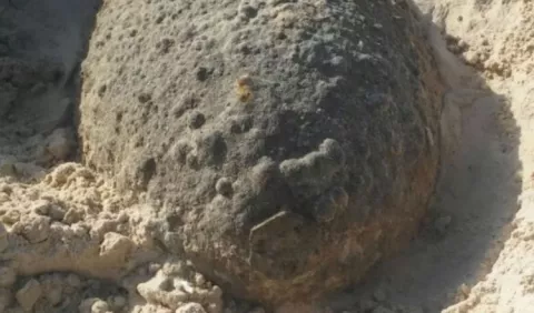 Urge estudio que detecte más bombas en isla Iguana