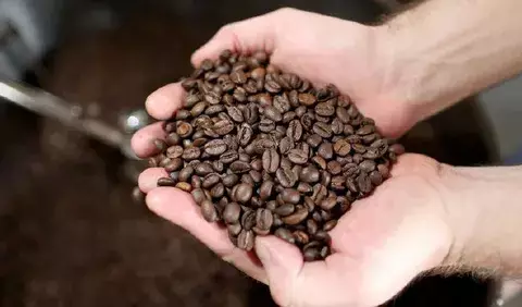 Bondades de tomar café