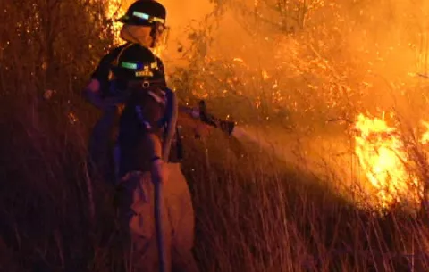 Incendio causa pánico en población de Alto Boquete