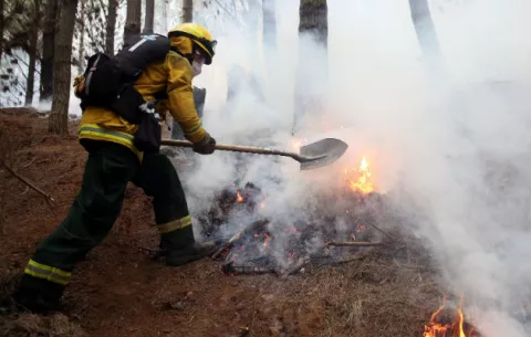 Prenden fuego para un asado y se queman 1.000 hectáreas en Argentina