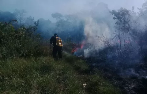 Bomberos atienden más de 500 incendios entre enero y febrero