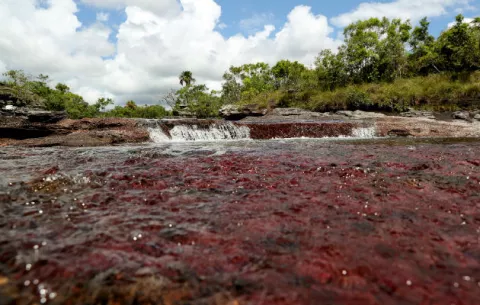 Alerta en Colombia por un incendio cerca al "río más bonito del mundo"