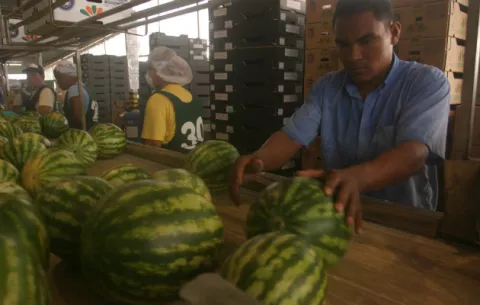 ‘Panamá Bioseguro’, es el sello de calidad que se busca implementar 